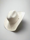 *XLarge* Chihuahua Cowboy Hat - Vegan Suede