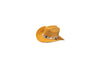 Pet Hats + Branding