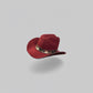 Pet Hats + Branding