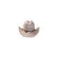 Pet Hats + Branding