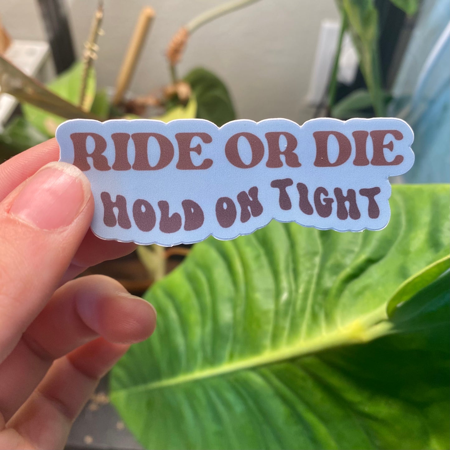 "Ride or Die" Sticker