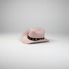 Pet Hats + Branding