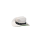 Pet Hats + Branding