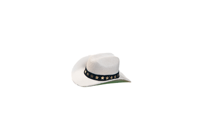 Pet Hats + Branding