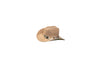 Pet Hats + Branding