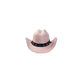 Pet Hats + Branding