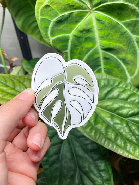 Variegated Monstera Leaf Sticker